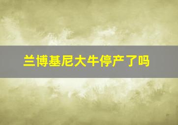 兰博基尼大牛停产了吗