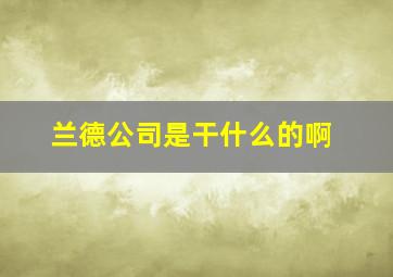 兰德公司是干什么的啊