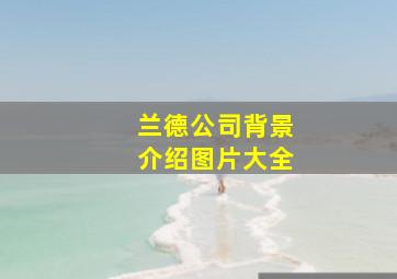 兰德公司背景介绍图片大全