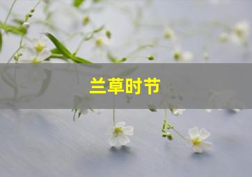 兰草时节