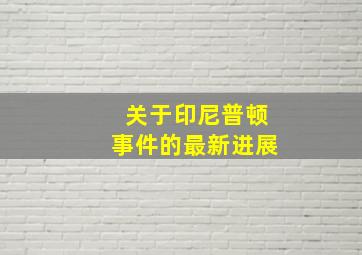 关于印尼普顿事件的最新进展