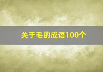 关于毛的成语100个