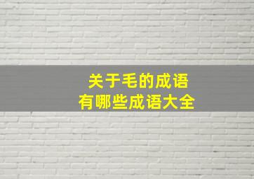 关于毛的成语有哪些成语大全