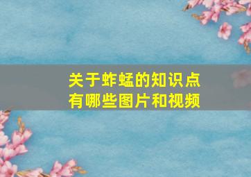 关于蚱蜢的知识点有哪些图片和视频