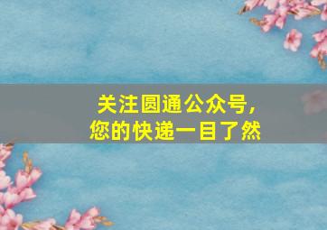 关注圆通公众号,您的快递一目了然