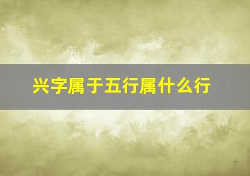 兴字属于五行属什么行