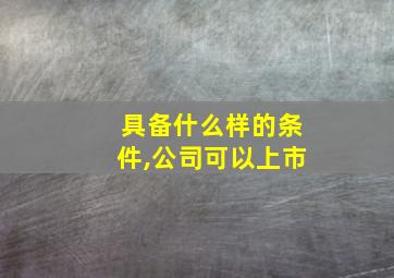 具备什么样的条件,公司可以上市