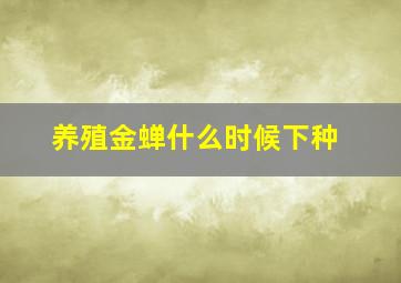 养殖金蝉什么时候下种