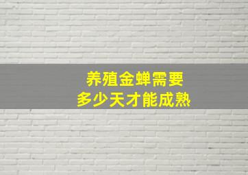 养殖金蝉需要多少天才能成熟