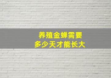 养殖金蝉需要多少天才能长大