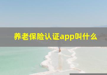 养老保险认证app叫什么