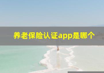 养老保险认证app是哪个