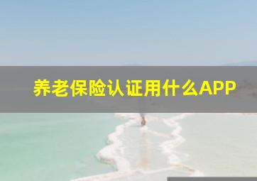 养老保险认证用什么APP