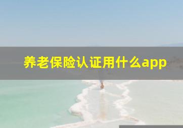 养老保险认证用什么app