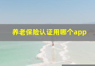 养老保险认证用哪个app