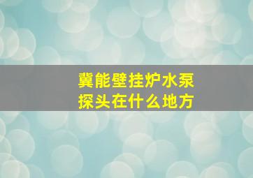 冀能壁挂炉水泵探头在什么地方