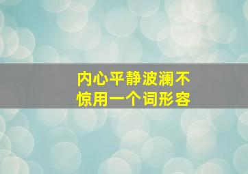 内心平静波澜不惊用一个词形容