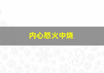 内心怒火中烧