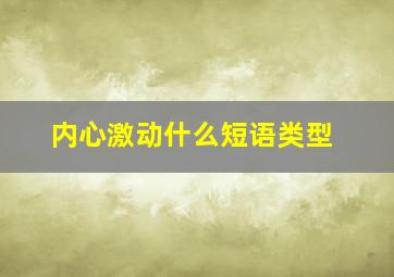 内心激动什么短语类型