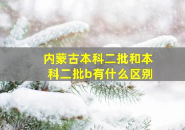 内蒙古本科二批和本科二批b有什么区别