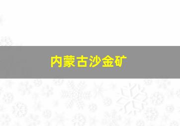 内蒙古沙金矿