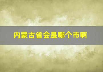 内蒙古省会是哪个市啊