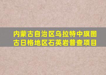 内蒙古自治区乌拉特中旗图古日格地区石英岩普查项目