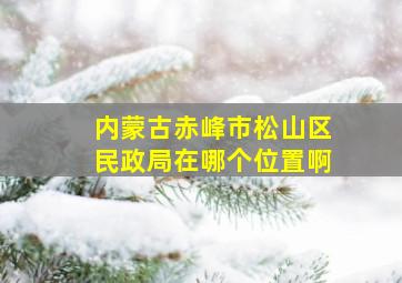 内蒙古赤峰市松山区民政局在哪个位置啊