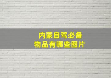 内蒙自驾必备物品有哪些图片