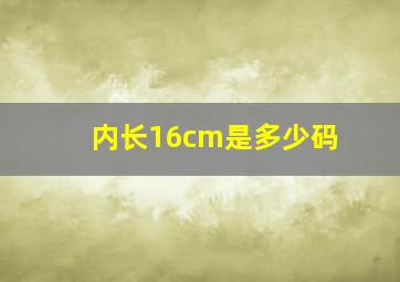 内长16cm是多少码