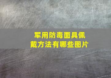 军用防毒面具佩戴方法有哪些图片