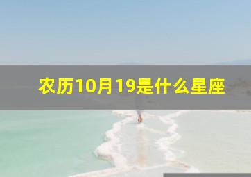 农历10月19是什么星座