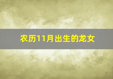 农历11月出生的龙女