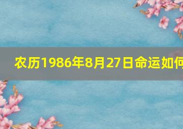 农历1986年8月27日命运如何