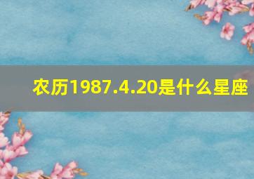 农历1987.4.20是什么星座