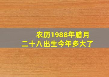 农历1988年腊月二十八出生今年多大了