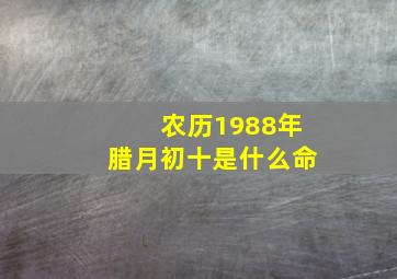 农历1988年腊月初十是什么命