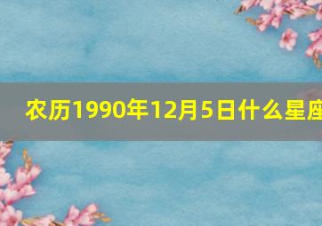 农历1990年12月5日什么星座