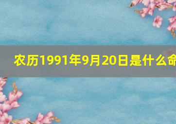 农历1991年9月20日是什么命