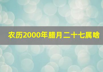 农历2000年腊月二十七属啥