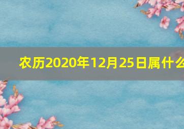 农历2020年12月25日属什么