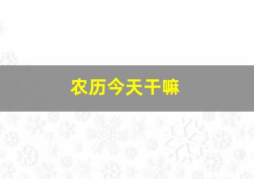 农历今天干嘛