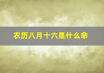 农历八月十六是什么命