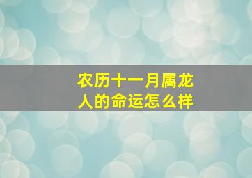 农历十一月属龙人的命运怎么样