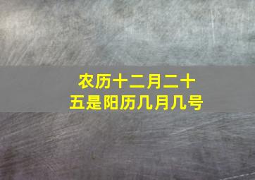 农历十二月二十五是阳历几月几号