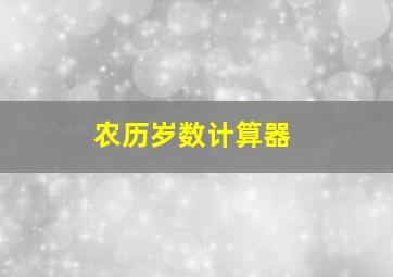 农历岁数计算器