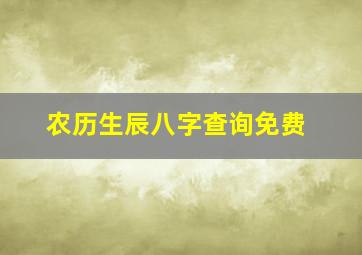 农历生辰八字查询免费