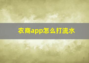 农商app怎么打流水