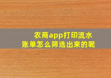 农商app打印流水账单怎么筛选出来的呢