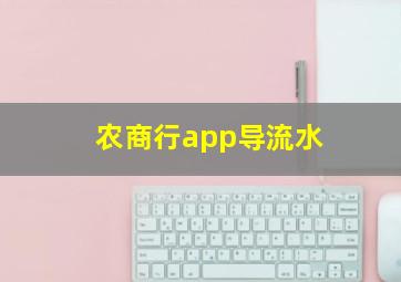 农商行app导流水